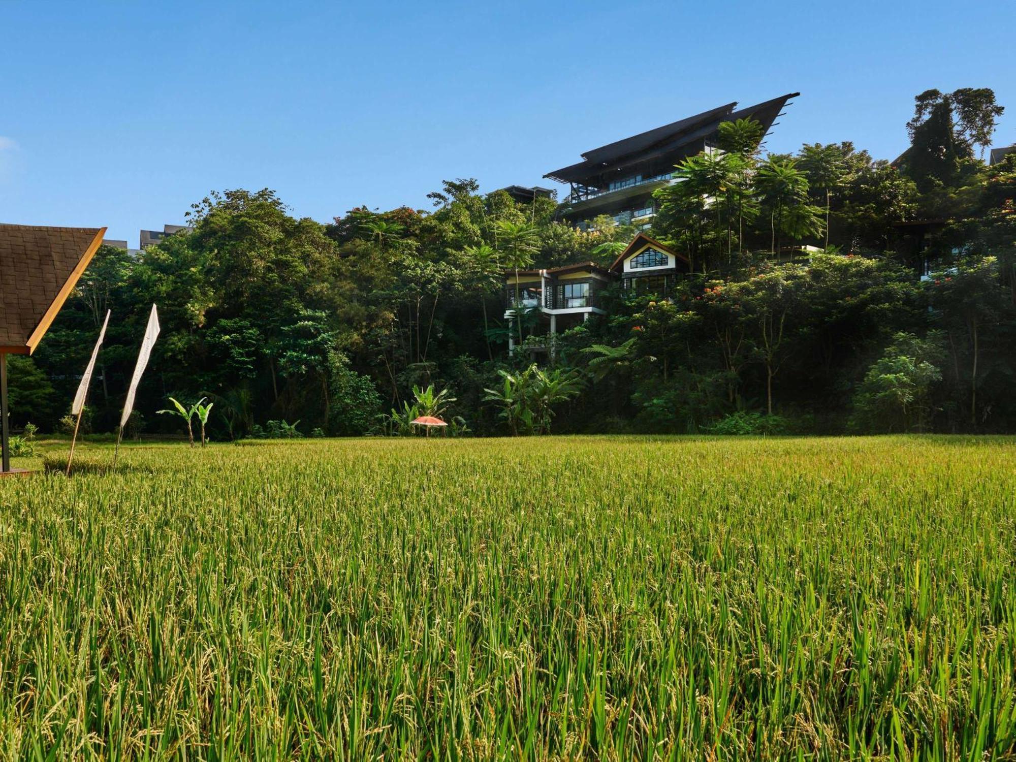 Pullman Ciawi Vimala Hills Resort Bogor Buitenkant foto